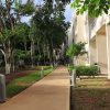 A. Departamentos en Playa del Carmen (Selva Residences) - Imagen 8